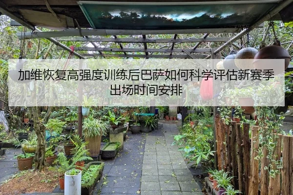 加维恢复高强度训练后巴萨如何科学评估新赛季出场时间安排